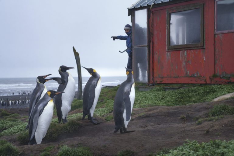 Cabane-de-scientifiques-mission-photographique-en-Terres-austrasles-et-antarctiques-françaises-Mélanie-Wenger