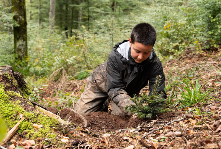 Forêt Tchéquie - plantation Fondation Yves Rocher