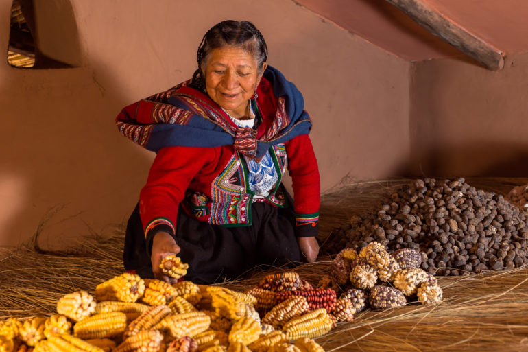 Cléofécélia, International Award Terre de Femmes 2021 laureate of the Yves Rocher Foundation, lists, preserves and disseminates knowledge about seeds and local seeds to save a whole section of the plant and cultural heritage of the Andes.