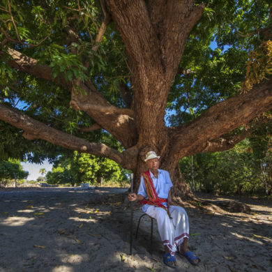 à madagascar, la fondation yves rocher s’associe aux communautés pour planter des arbres et préserver les lémuriens