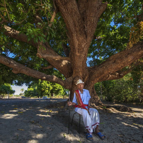 In Madagascar, the Yves Rocher Foundation is working with local communities to plant trees and protect lemurs