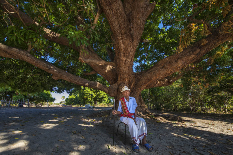 In Madagascar, the Yves Rocher Foundation is working with local communities to plant trees and protect lemurs