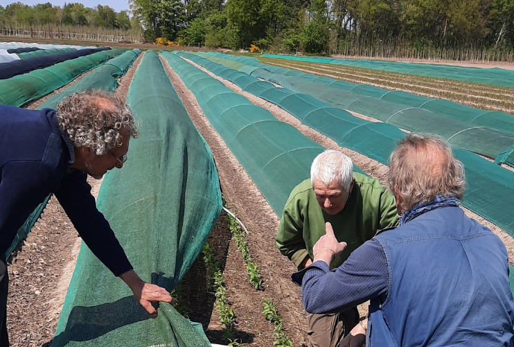 Visite de la pépinière de Jolanda à Zundert