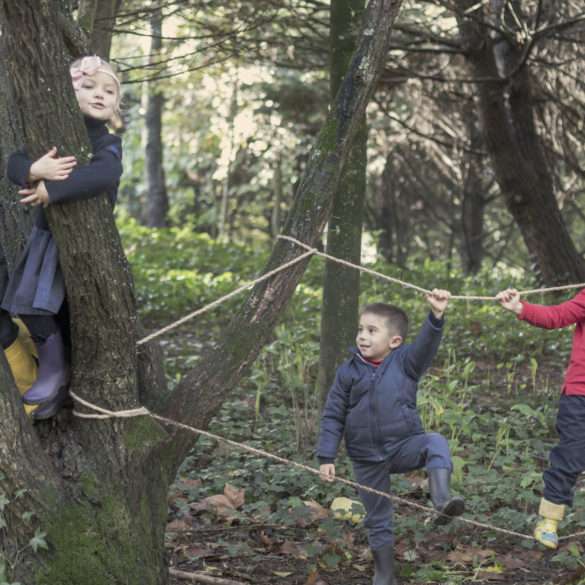 Association Futuro replante des arbres au Portugal pour limiter l’invasion de l’eucalyptus, reportage de Juan Manuel Castro Prieto