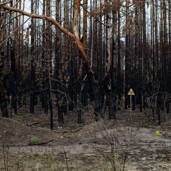 Guillaume Herbaut, reforestation en Europe de l’Est, mission photographique
