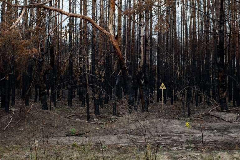 Guillaume Herbaut, reforestation en Europe de l’Est, mission photographique