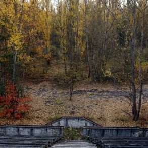 Forêt Europe de l’est Tchernobyl Guillaume Herbaut mission photographique