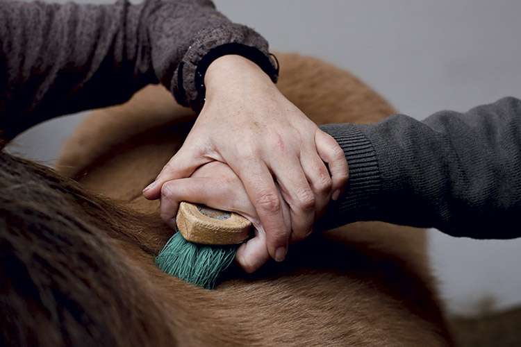anne maltoni equine-assisted therapy yves rocher foundation winner