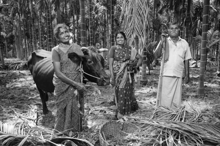 Emanuele Scorcelletti Des fermiers plantent des arbres en inde avec Isha fondation et Fondation Yve Rocher.