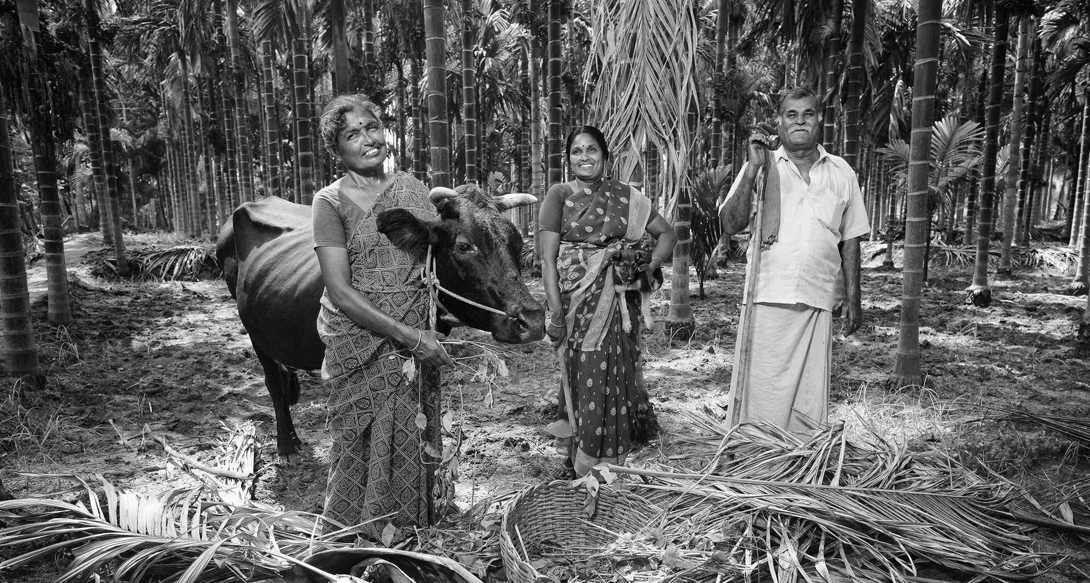 Emanuele Scorcelletti Des fermiers plantent des arbres en inde avec Isha fondation et Fondation Yve Rocher.