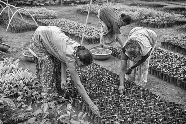 Emanuele Scorcelletti Reforester l’inde avec les enfants et la Fondation Yves Rocher.