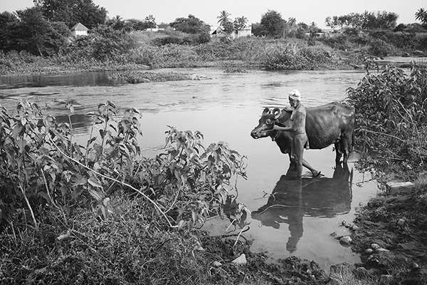 Emanuele Scorcelletti Reforester l’inde avec les enfants et la Fondation Yves Rocher.