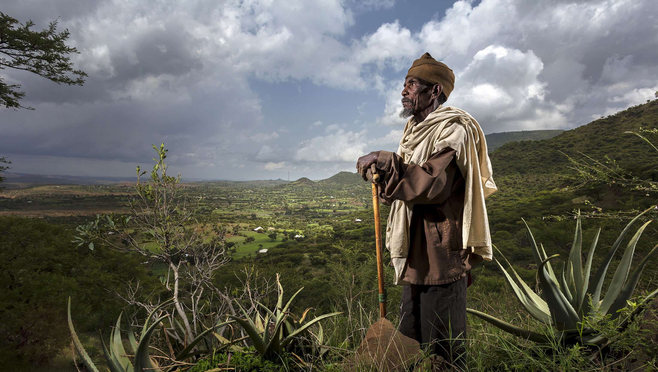 Brent Stirton, Committed to reforestation in Ethiopia