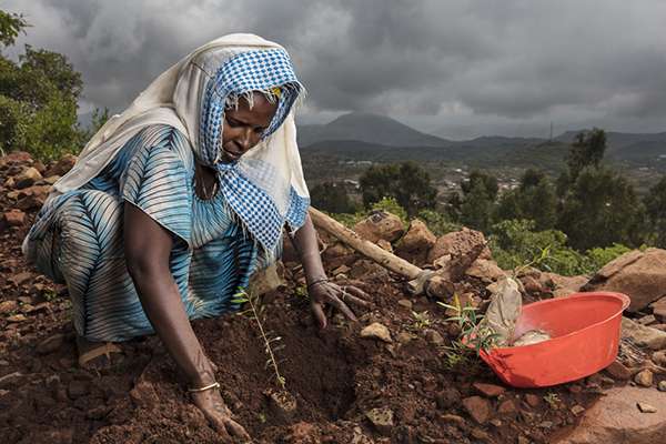 woman ethiopia reforestation plant for the planet yves rocher foundation