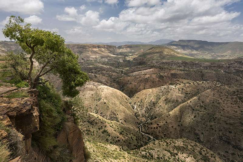 Brent Stirton : Les paysans et les paysannes replantent des arbres avec les mains en Ethiopie