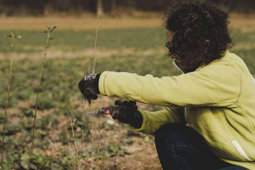 Planteuse volontaire Fondation Yves Rocher