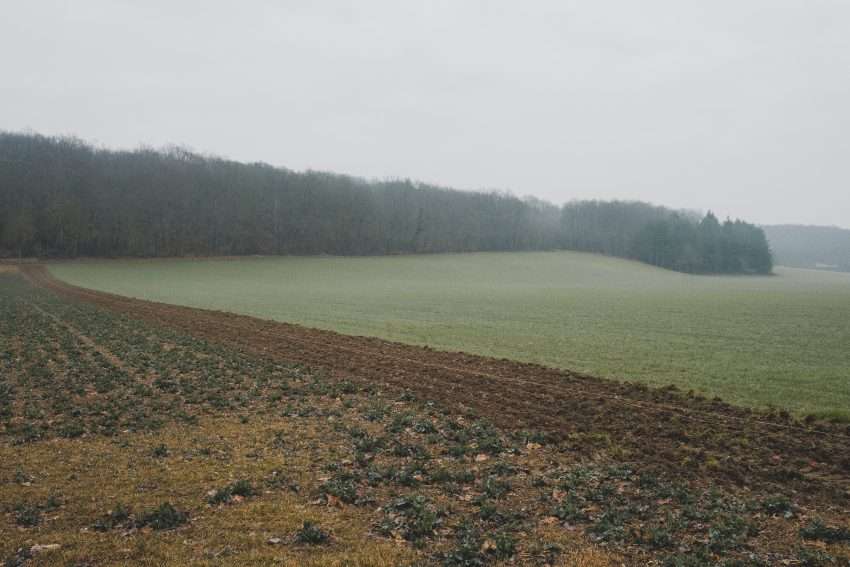 le bocage, un refuge pour la biodiversité