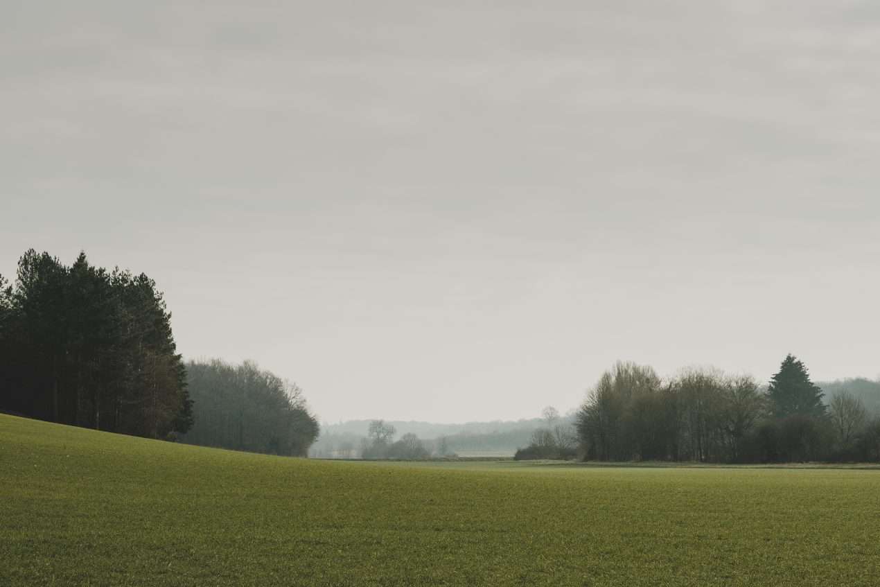 Ferme de l’abondance, un terroir de bocage