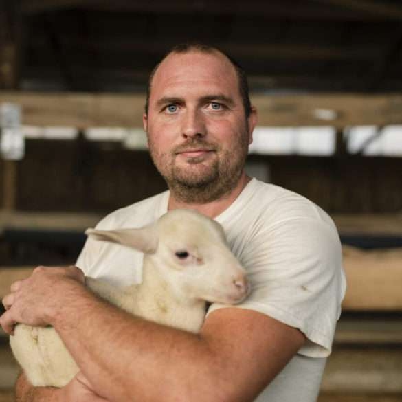 The sheep farmer who’s reconciled trees and farming