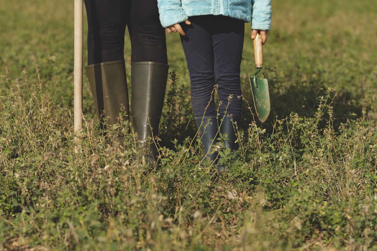 planting trees yvesrocher foundation