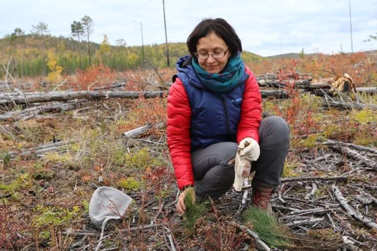 natalya eremeeva forest russia