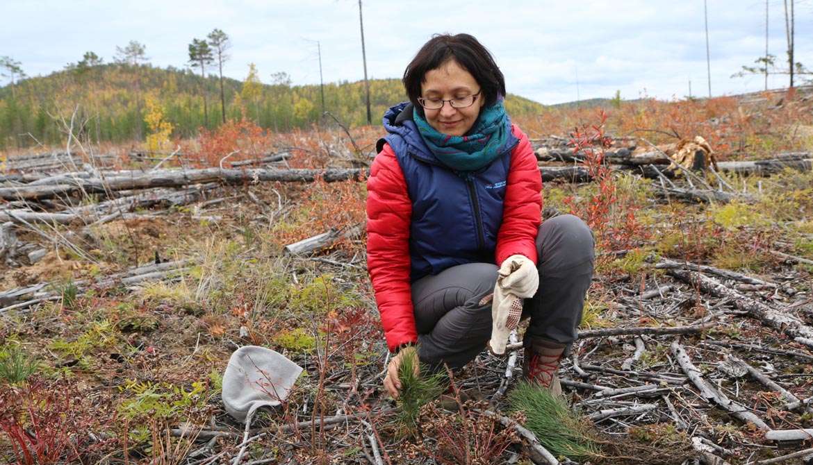 natalya eremeeva forest russia