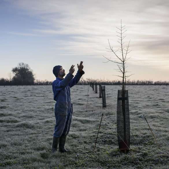 Phil Hatcher-Moore : Un agriculteur en biodynamie replante des haies pour recréer un bocage