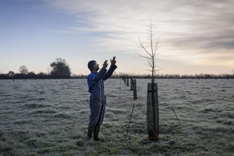 Phil Hatcher-Moore: a biodynamic farmer replanting hedgerows to recreate wooded countryside