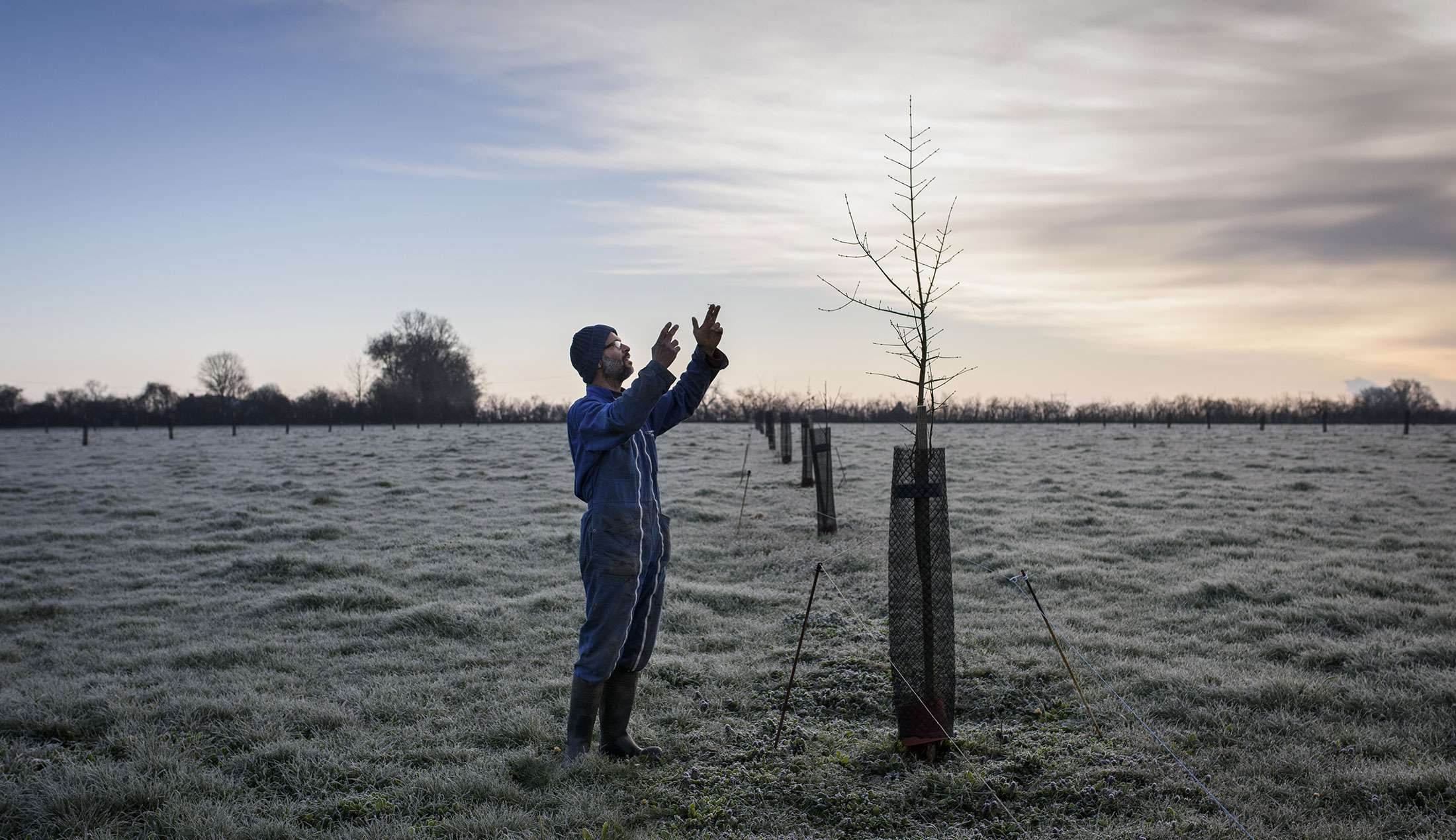 Phil Hatcher-Moore : Un agriculteur en biodynamie replante des haies pour recréer un bocage