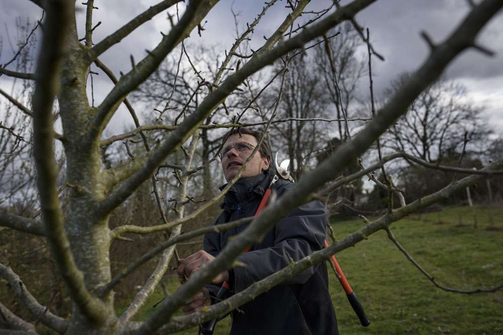 Jérôme left Paris at the age of 22. Despite training as a cartographer, he decided he no longer wanted to spend his life staring at a screen. He moved to the suburbs of Niort and began planting fruit trees behind his house. While he doesn’t make huge profits, he has found the rich hub of life he was yearning for.