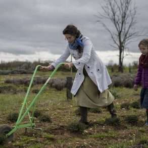 Phil Hatcher-Moore: growing local plant varieties