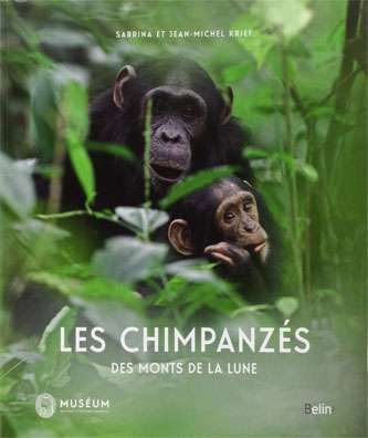 Les chimpanzés vus par Sabrina Krief