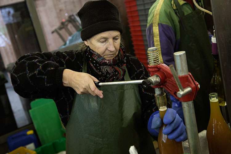 véronique fiers gardening