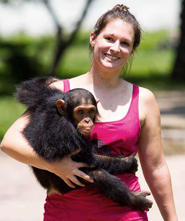 Amandine Renaud primates p-wac