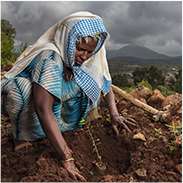 PLANTONS POUR LA PLANÈTE @Brent Stirton