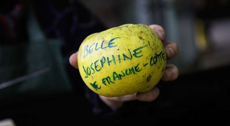 véronique fiers jardinage