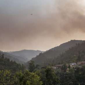 Feux de forêts au sud du Portugal et eucalyptus, un drame écologique au Portugal relaté par Juan Manuel Castro Prieto