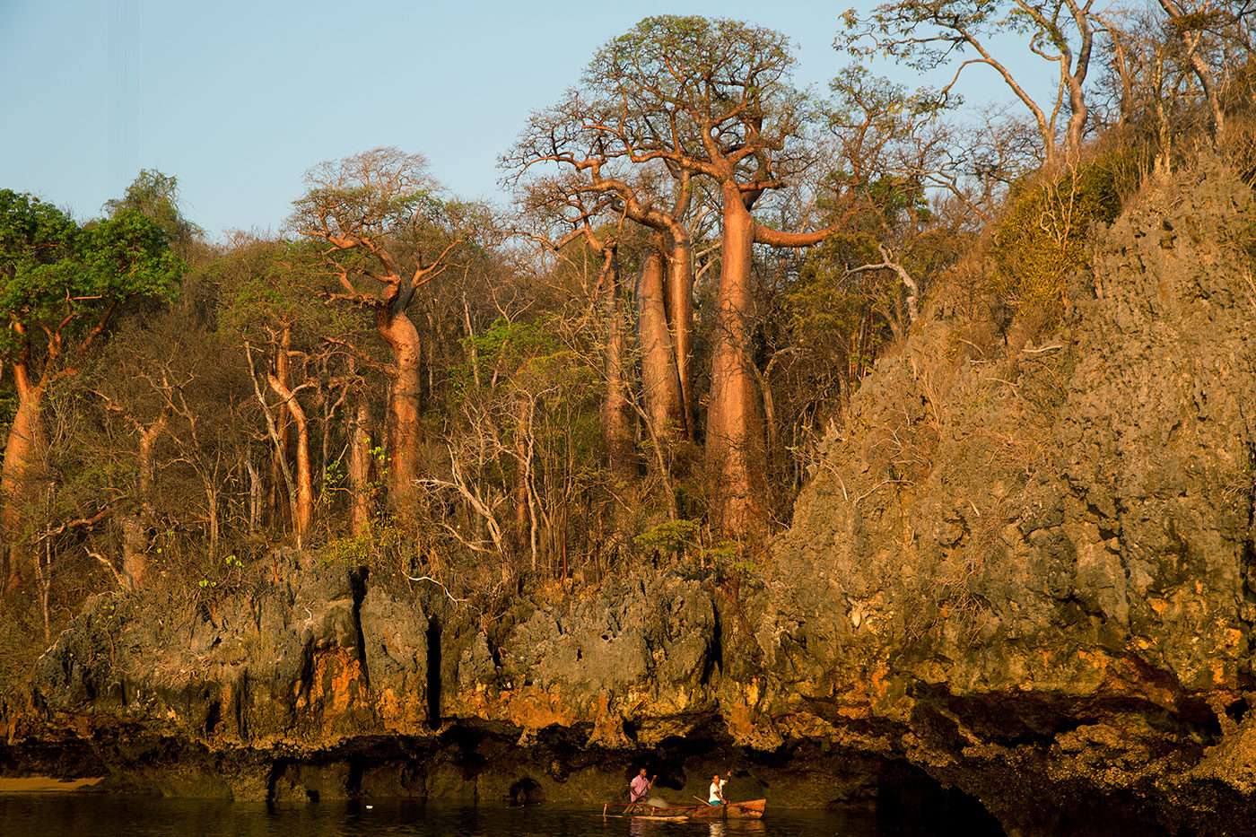 Soutien photographe, Pascal Maitre, un monde de baobabs en danger Madagascar