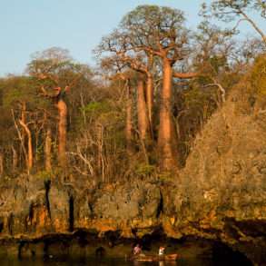 Soutien photographe, Pascal Maitre, un monde de baobabs en danger Madagascar