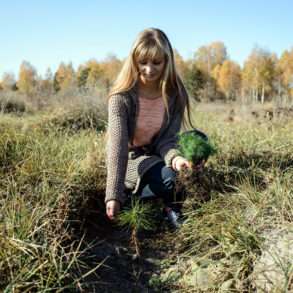 Parcs nationaux ukrainiens replantations d’arbres soutenues par la Fondation Yves Rocher. Reportage Guillaume Herbaut