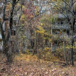 Forêt Techernobyl et contamination des sols Guillaume Herbaut Mission photographique Fondation Yves Rocher