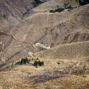 400 hectares de déforestation en Roumanie, coupes d’arbres illégales un reportage de Guillaume Herbaut