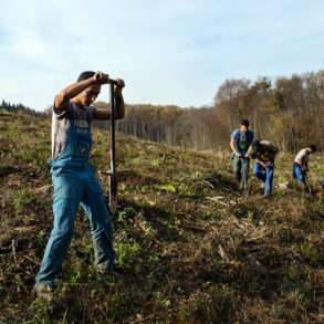 Jardiner parmi les jeunes arbres replantés en Europe de l’Est grâce à la Fondation Yves Rocher