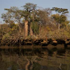 Soutien photographe, Pascal Maitre, un monde de baobabs Madagascar
