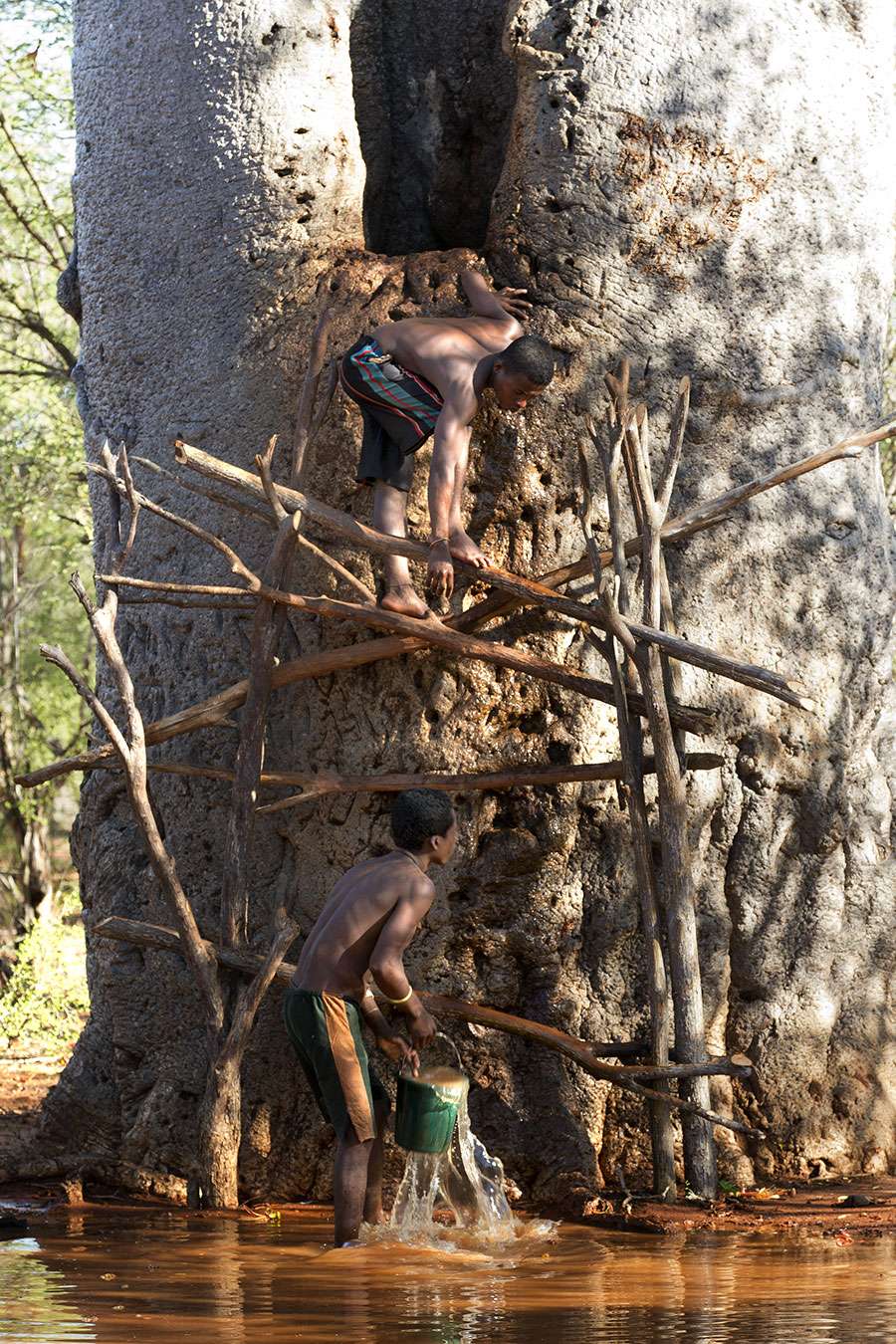 Photographer support, Pascal Maitre, a world of baobabs, Madagascar