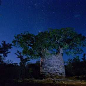 Soutien photographie, reportage Pascal Maitre, Madagascar