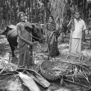 Emanuele Scorcelletti. Farmers planting trees in India with the Isha Foundation and the Yves Rocher Foundation.