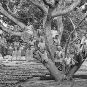 Emanuele Scorcelletti Planter des arbres avec Isha Fondation.