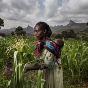 Brent Stirton : replanter en Ethiopie pour un sol plus fertile et vivant.