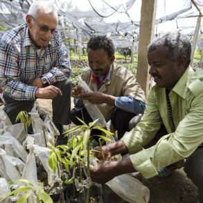 Brent Stirton : la Fondation Yves Rocher aux côtés de la Fondation Green Ethiopia, ensemble pour la reforestation en Inde.